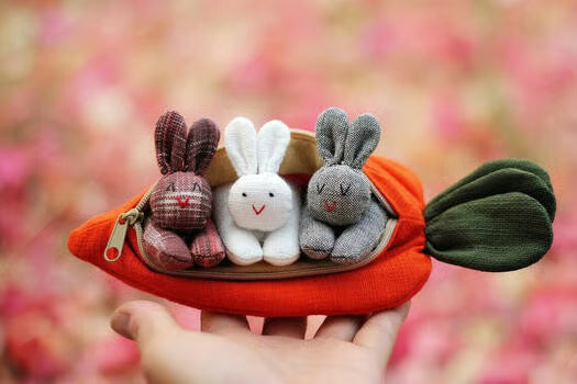 ๐ Hide-and-Seek Bunnies in Carrot Pouch