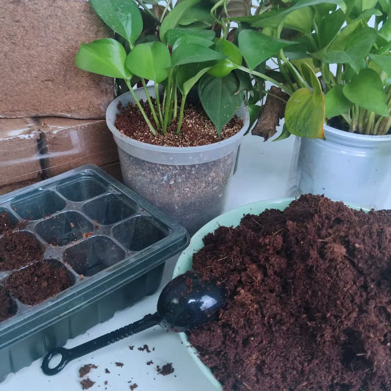 ✨Premium Organic Coconut Coir Bricks for Plants(Size:5*1.5cm)