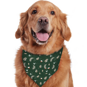 Christmas Tree Matching Family Christmas Pajamas-Dog Pajamas Included