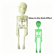 Articulated Skeleton Halloween Fridge Magnet