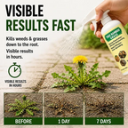 🔥🔥2026 SALE - Fast-Acting Natural Weed & Grass Killer Spray