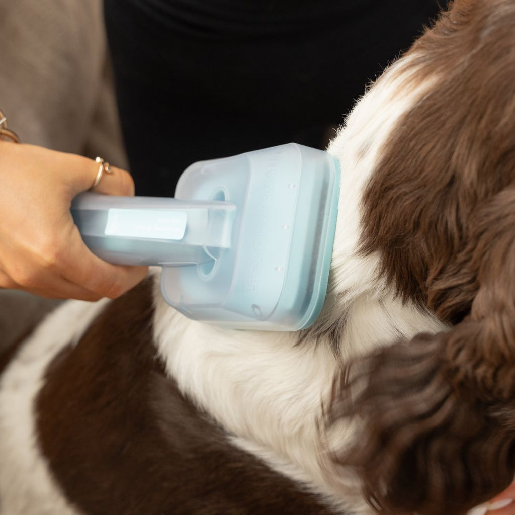 Uproot Pet Grooming Kit