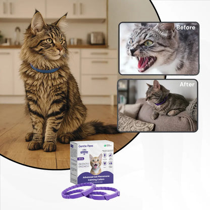 GentlePaws Cat Calming Collar (2-Pack)