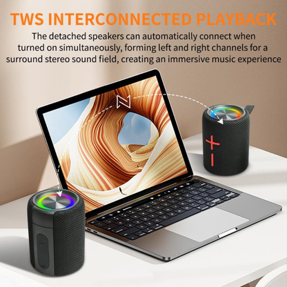 Portable Bluetooth Speaker with Subwoofer