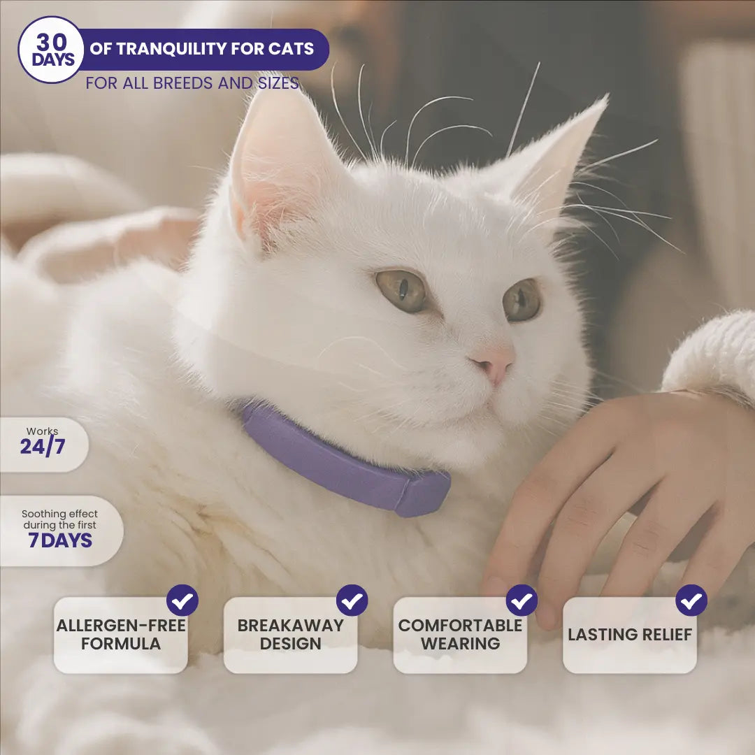GentlePaws Cat Calming Collar (2-Pack)