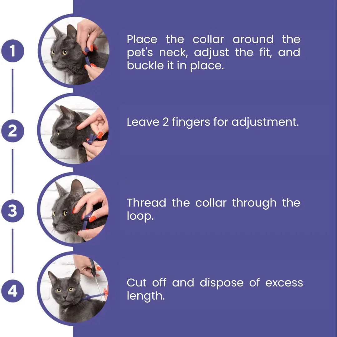 GentlePaws Cat Calming Collar (2-Pack)