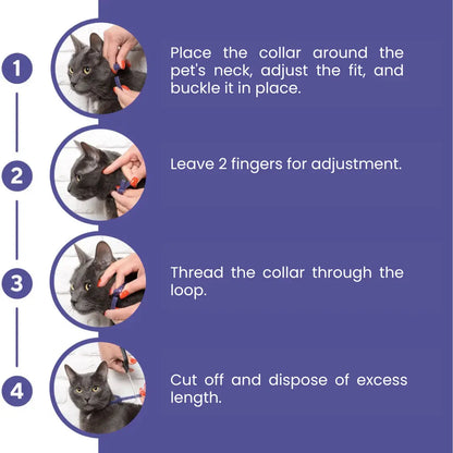 GentlePaws Cat Calming Collar (2-Pack)
