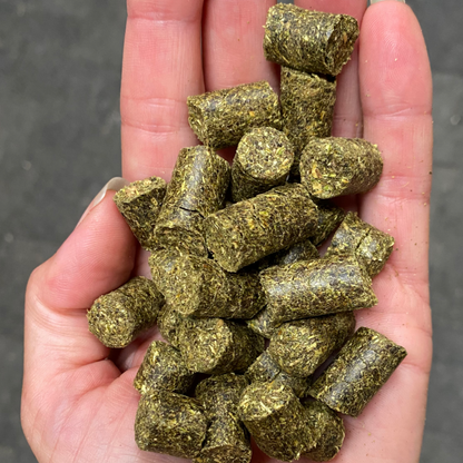 Grazers Nutri-Treats - Forage-Based, Healthy Horse Treats