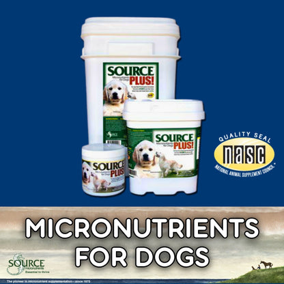 SOURCE Plus for Dogs Seaweed-Based Micronutrients for Skin, Coat & Digestion