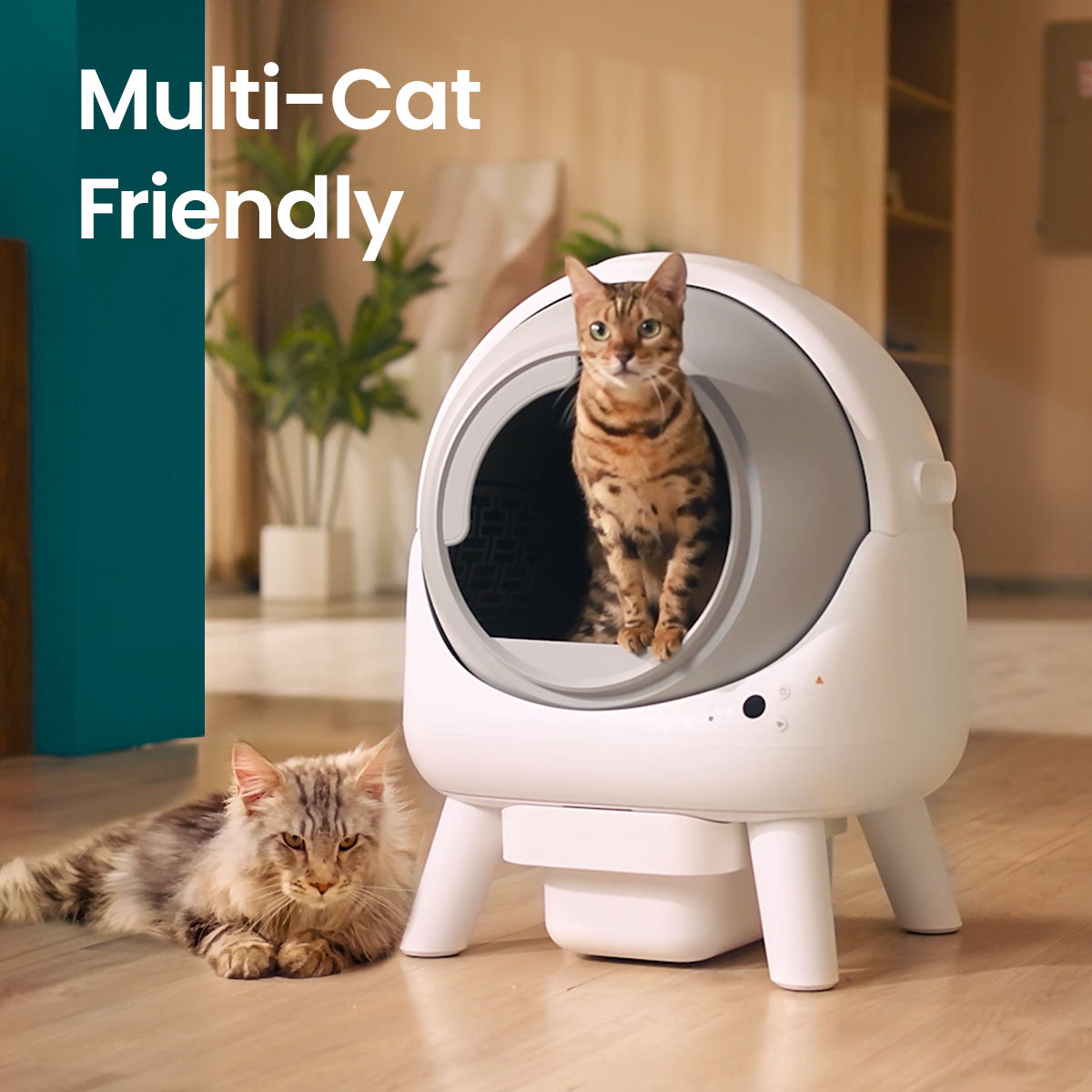 [Elspet Day Sale] Orbitie Self Cleaning Litter Box * 2