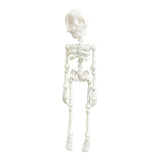 Articulated Skeleton Halloween Fridge Magnet