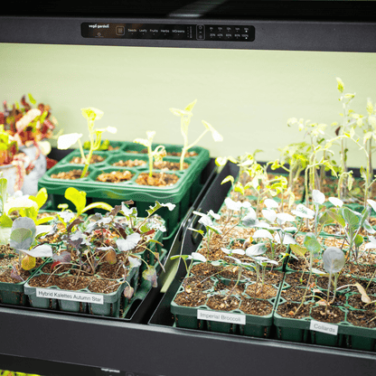 Ultimate Grow Light Garden