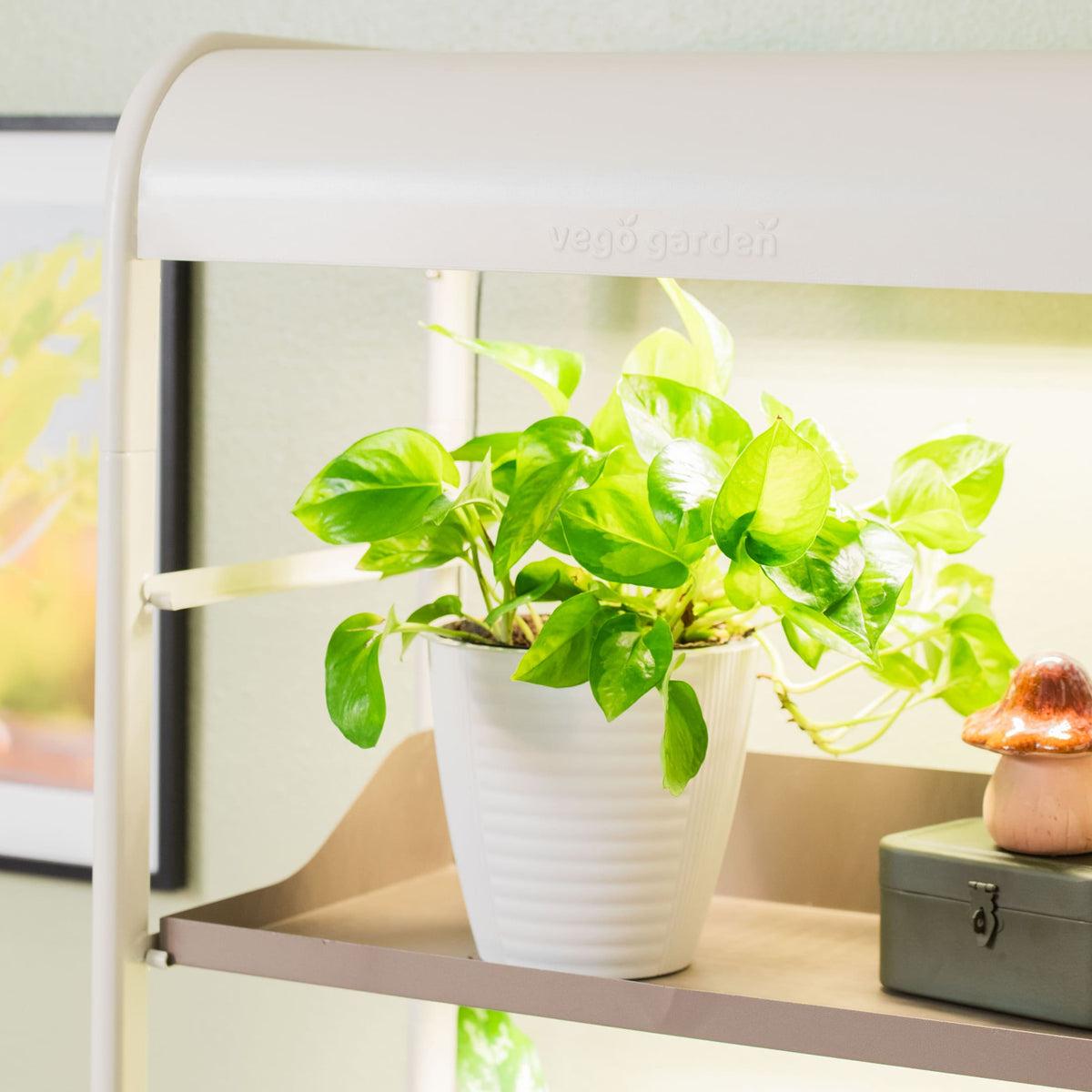 4 Tier Grow Light Garden Pro