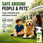 🔥🔥2026 SALE - Fast-Acting Natural Weed & Grass Killer Spray
