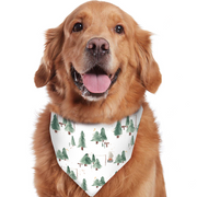 Christmas Tree Matching Family Christmas Pajamas-Dog Pajamas Included
