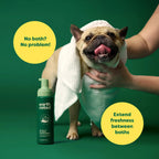 No-Rinse Dog Shampoo 7 oz - White Tea & Basil Scent, Convenient Waterless Formula for All Coat Types, Refreshing Scent Sold by Earth Rated