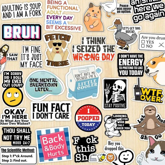 🔥LAST DAY SALE 59% OFF-Set of 130 Pcs Funny Saying Stickers