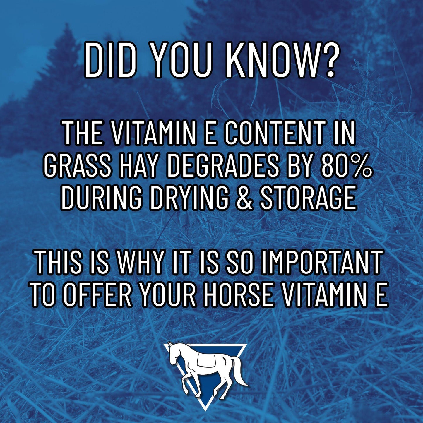 Daily Natural Vitamin E - High Bioavailability Antioxidant Support