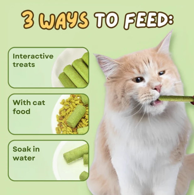 Cat Grass Dental & Digestive Sticks (6-Pack)