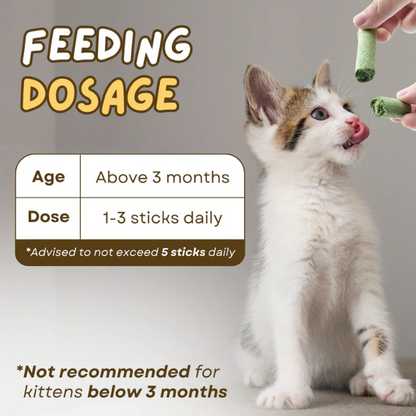Cat Grass Dental & Digestive Sticks (6-Pack)