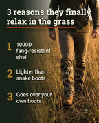 7 Reasons People in Snake Country Are Walking Through Tall Grass Again — Without Watching Every Step