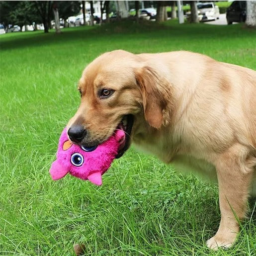 Dog Active Ball