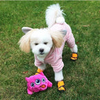 Dog Active Ball