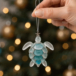 🌊2026 Advent Calendar · Ocean Treasures