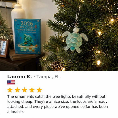 🌊2026 Advent Calendar · Ocean Treasures