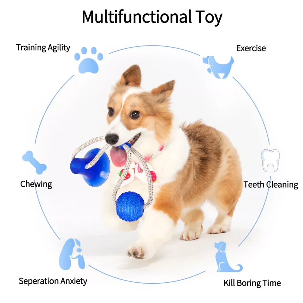 Multifunction Pet Molar Bite Toy