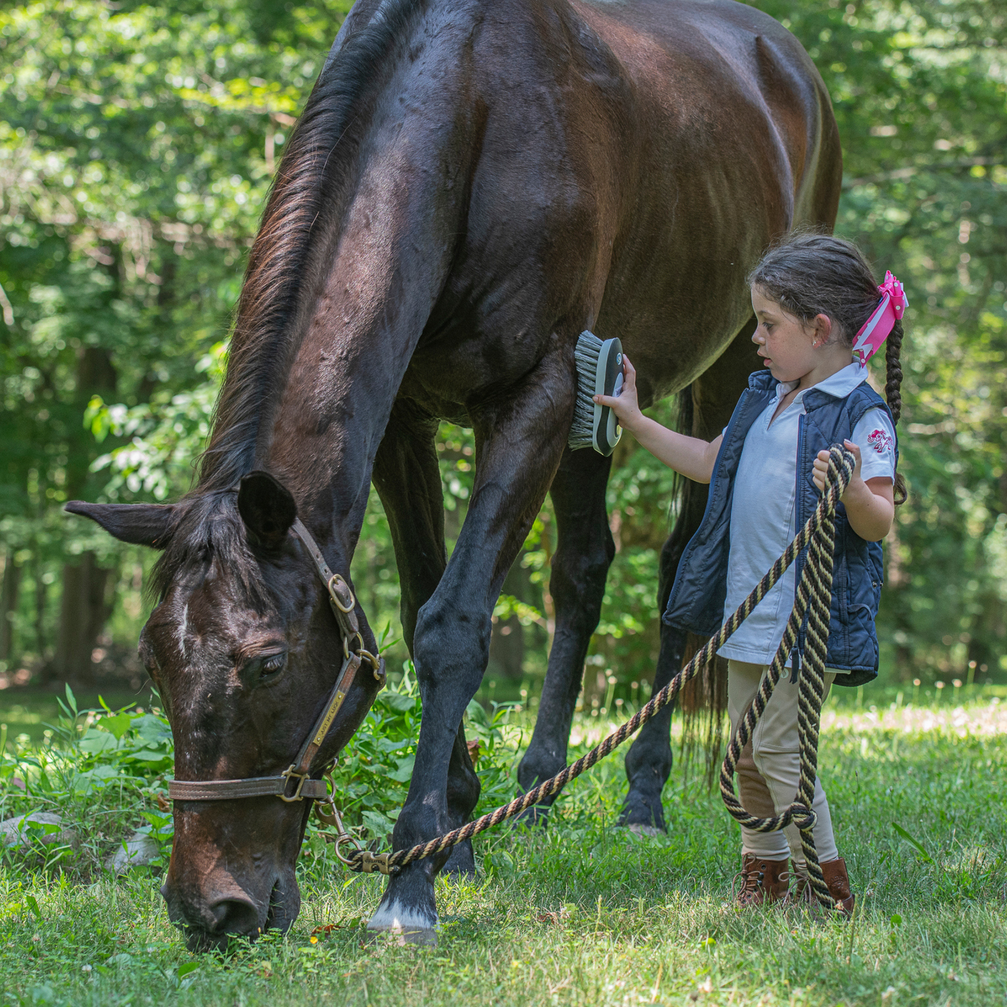 Daily Bonding Kit & Grazers
