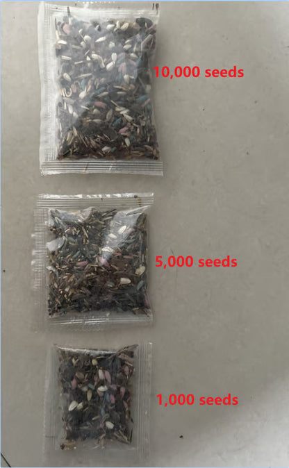 💝Mixed Perennial Flowers Seeds30- 60kinds mixed