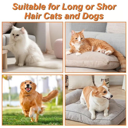 🔥Pet Steam Brush