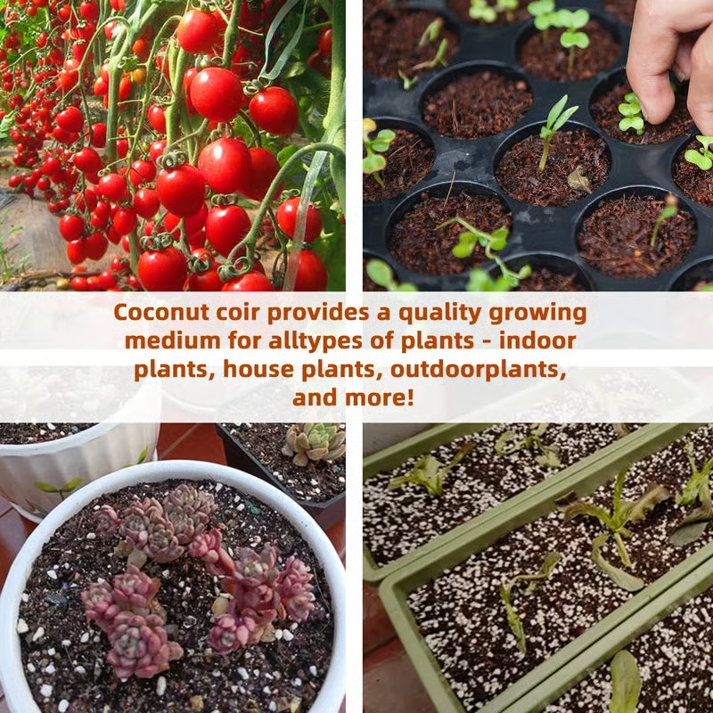 ✨Premium Organic Coconut Coir Bricks for Plants（Size：5*1.5cm）