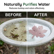 Universal Fit Bird Bath Purifier