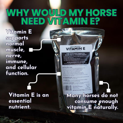 Daily Natural Vitamin E - High Bioavailability Antioxidant Support
