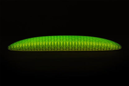🔥Worm Big Fidget Toy