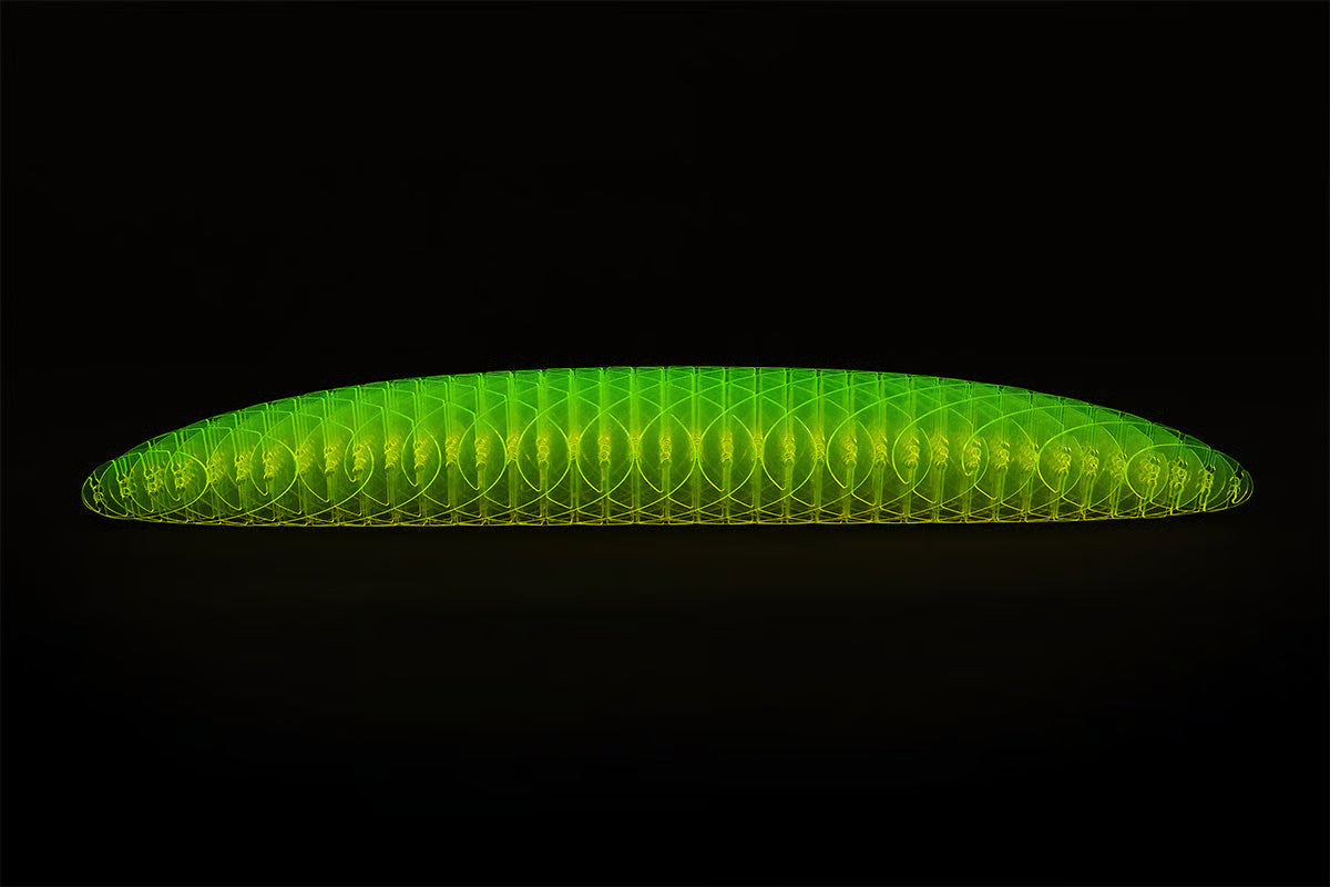 🔥Worm Big Fidget Toy